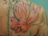 flor-loto-lotus-flower-tattoo-tatuaje-amor-de-madre-zamora-espalda-back-woman