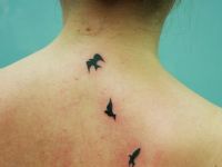 Pajaros-birds-espalda-back-tattoo-tatuaje-amor-de-madre-zamora-mini