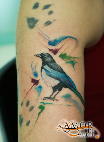 Aves-bird-urraca-magpie-pica-watercolor-tattoo-tatuaje-amor-de-madre-zamora-colorstattoo