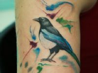 Aves-bird-urraca-magpie-pica-watercolor-tattoo-tatuaje-amor-de-madre-zamora-colorstattoo