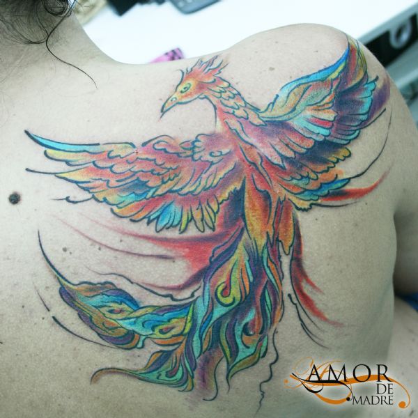 Fenix-pajaro-bird-color-colortattoo-tattoo-tatuaje-amor-de-madre-zamora